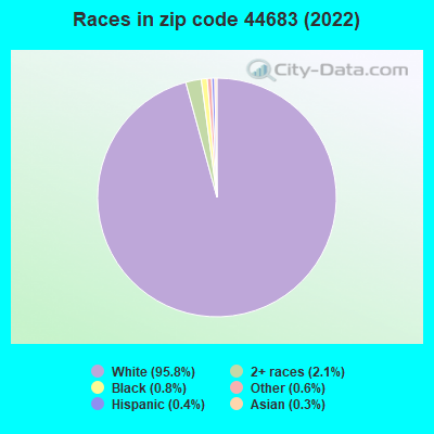 Races in zip code 44683 (2019)