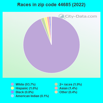 Races in zip code 44685 (2021)