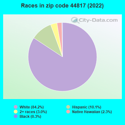 Races in zip code 44817 (2019)