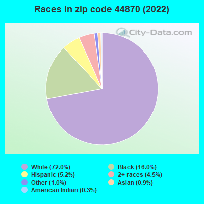 Races in zip code 44870 (2022)