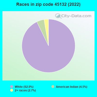 Races in zip code 45132 (2022)