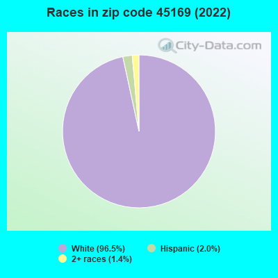 Races in zip code 45169 (2019)