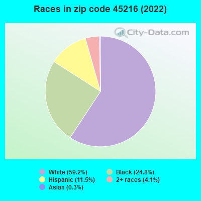 Races in zip code 45216 (2022)