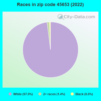 Races in zip code 45653 (2019)