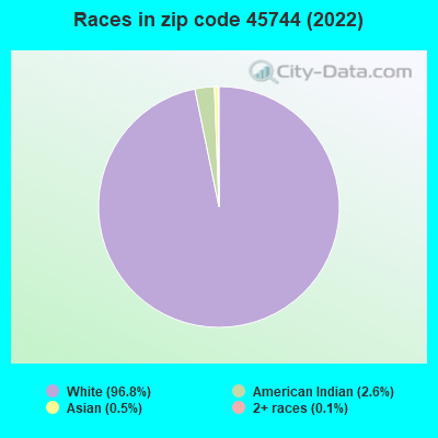Races in zip code 45744 (2019)