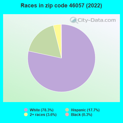 Races in zip code 46057 (2022)
