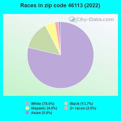 Races in zip code 46113 (2022)