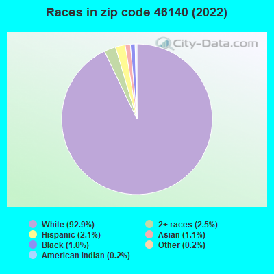 Races in zip code 46140 (2021)