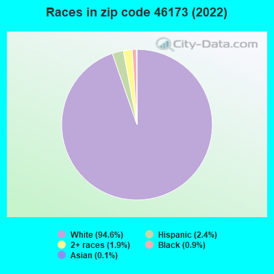 Races in zip code 46173 (2022)