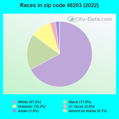 Races in zip code 46203 (2022)