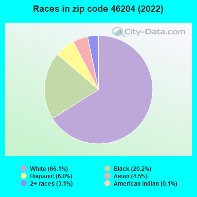 Races in zip code 46204 (2021)