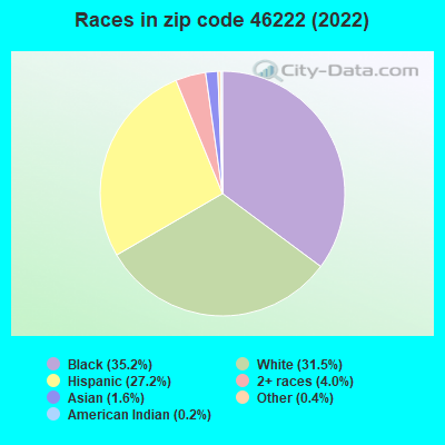 Races in zip code 46222 (2021)