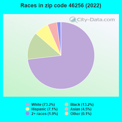 Races in zip code 46256 (2019)