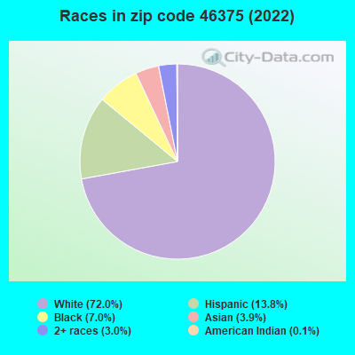 Races in zip code 46375 (2022)