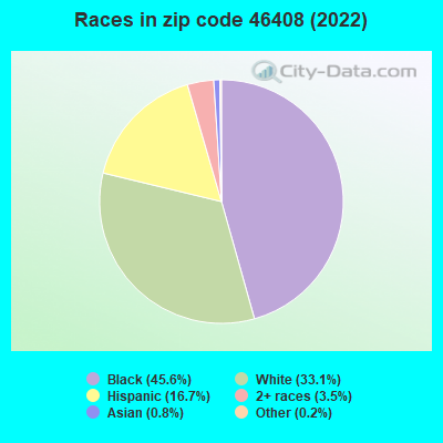 Races in zip code 46408 (2019)