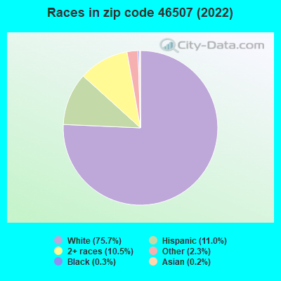 Races in zip code 46507 (2021)