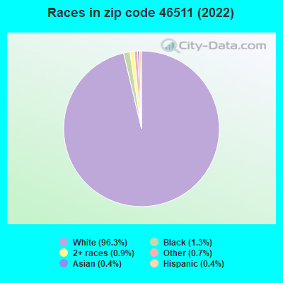 Races in zip code 46511 (2022)
