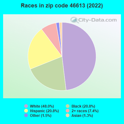Races in zip code 46613 (2019)