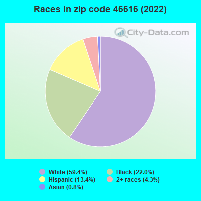 Races in zip code 46616 (2022)