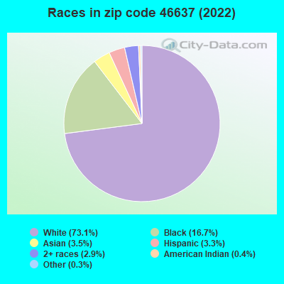 Races in zip code 46637 (2022)