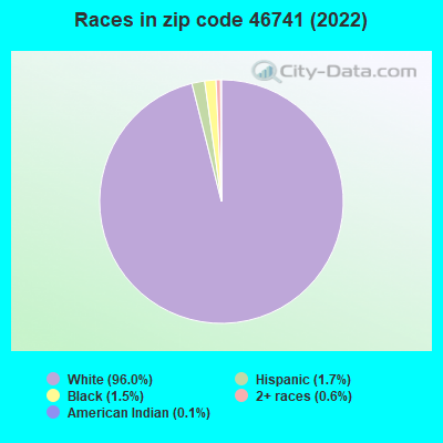 Races in zip code 46741 (2019)