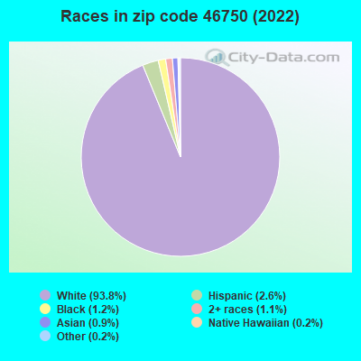 Races in zip code 46750 (2019)