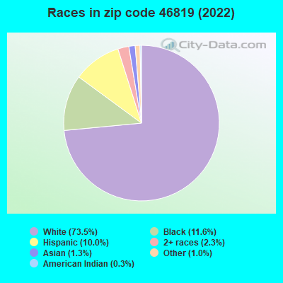 Races in zip code 46819 (2019)