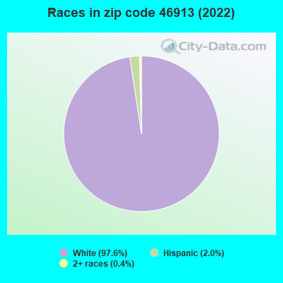 Races in zip code 46913 (2019)