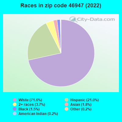Races in zip code 46947 (2021)