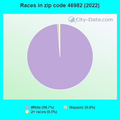 Races in zip code 46982 (2019)