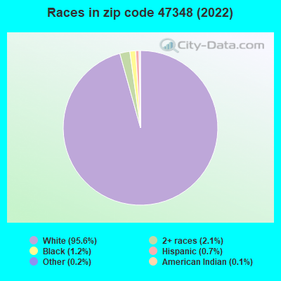 Races in zip code 47348 (2019)