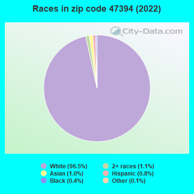 Races in zip code 47394 (2019)