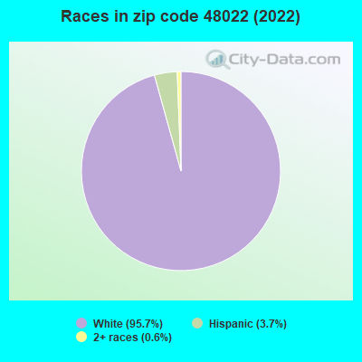 Races in zip code 48022 (2022)