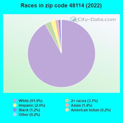 Races in zip code 48114 (2019)