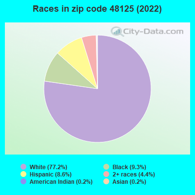 Races in zip code 48125 (2019)
