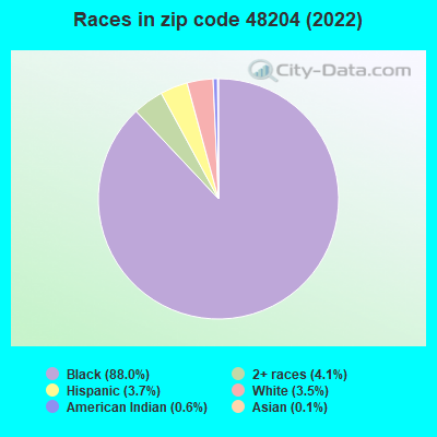 Races in zip code 48204 (2021)
