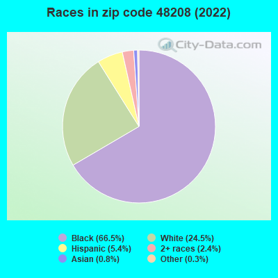 Races in zip code 48208 (2021)