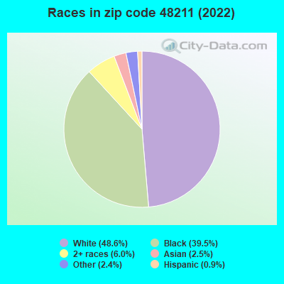 Races in zip code 48211 (2019)