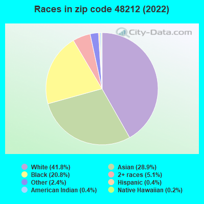 Races in zip code 48212 (2021)