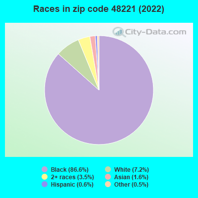 Races in zip code 48221 (2019)