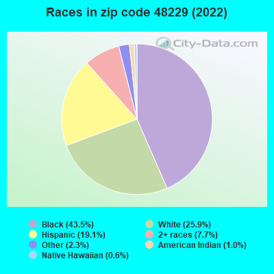 Races in zip code 48229 (2019)