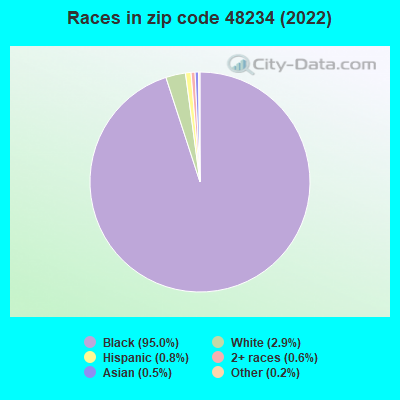 Races in zip code 48234 (2021)