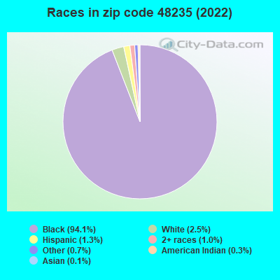 Races in zip code 48235 (2019)