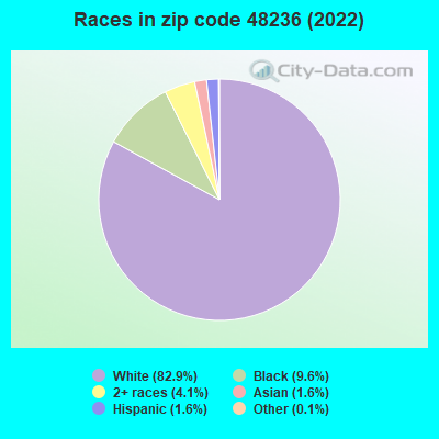 Races in zip code 48236 (2019)