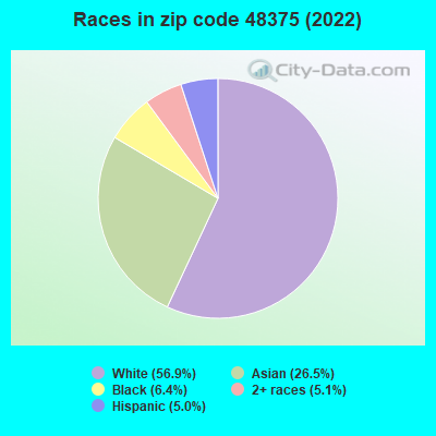 Races in zip code 48375 (2022)