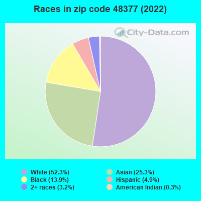 Races in zip code 48377 (2019)