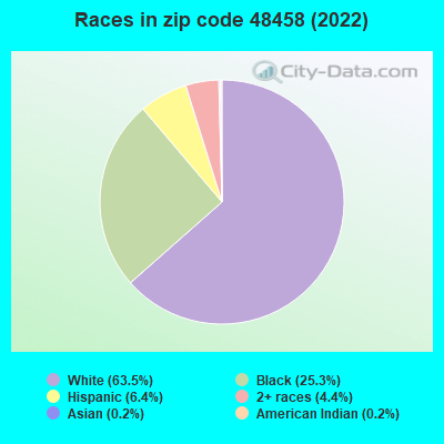 Races in zip code 48458 (2019)