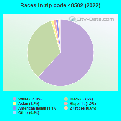 Races in zip code 48502 (2019)