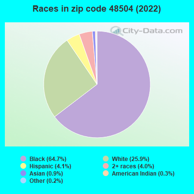 Races in zip code 48504 (2019)