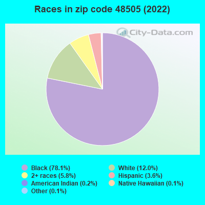 Races in zip code 48505 (2021)